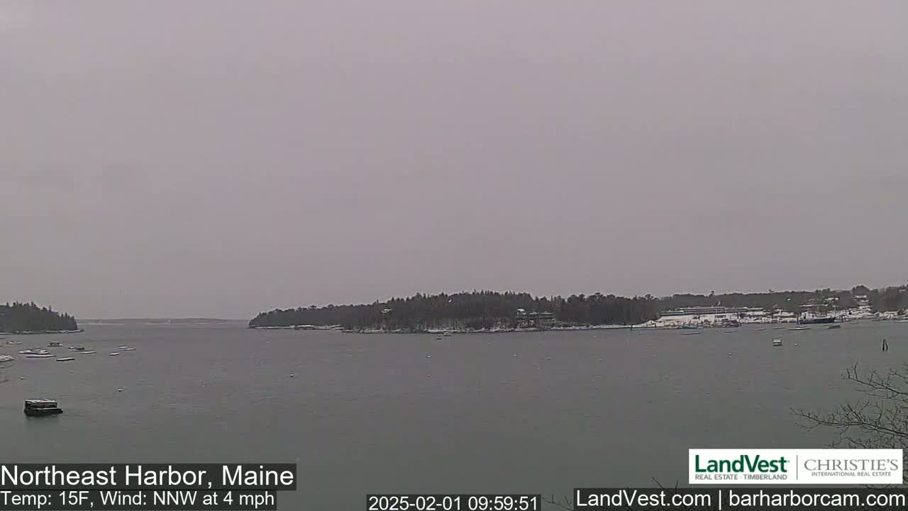 A calm, gray harbor is partially covered in snow, with a light dusting on the trees lining the shore.