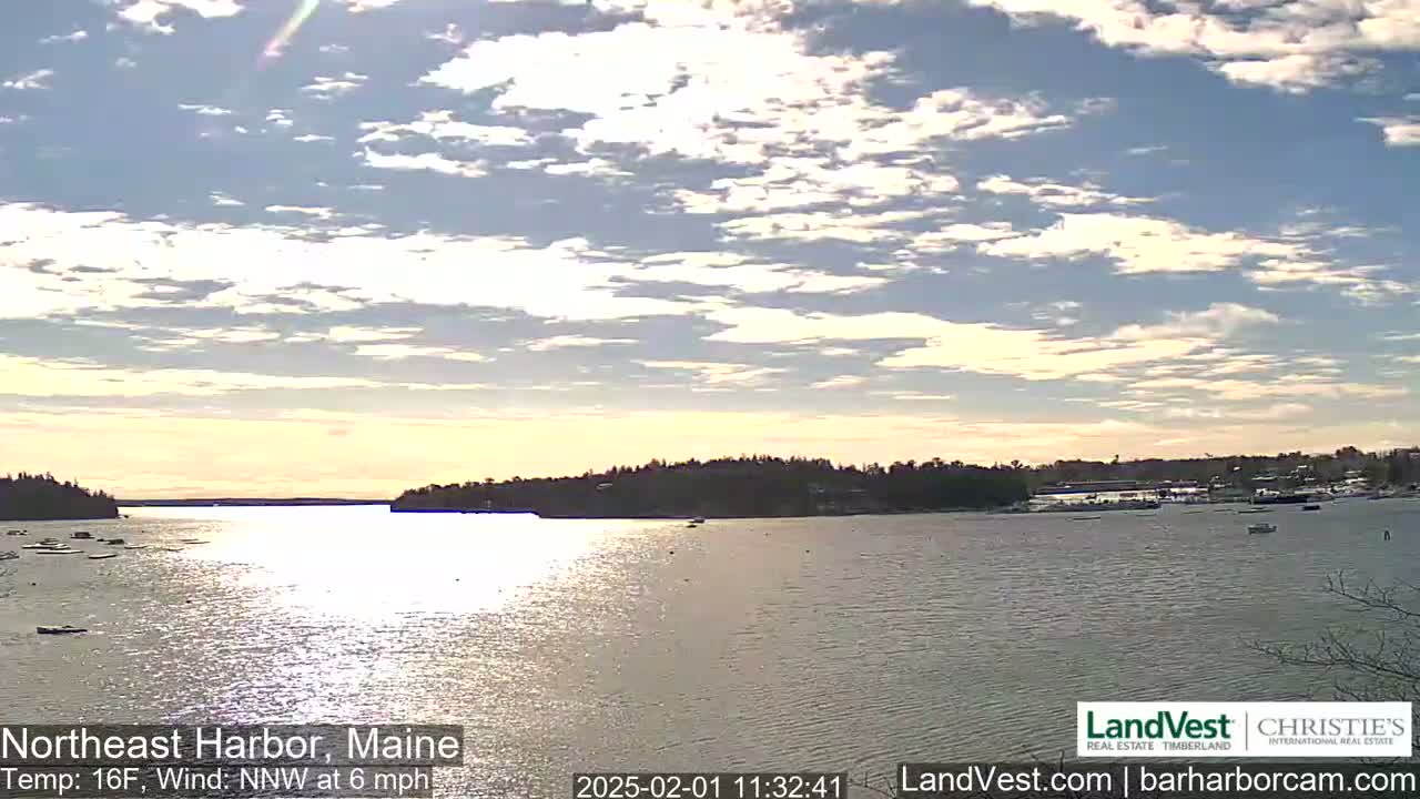 A calm body of water reflecting sunlight under a partly cloudy sky.