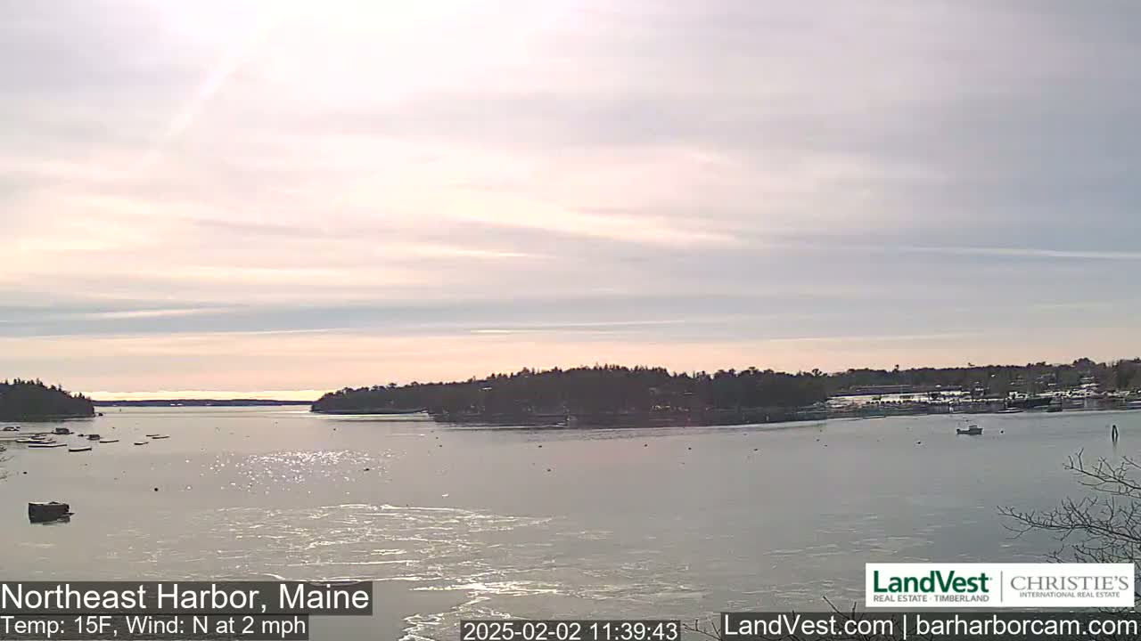 A calm harbor with partially frozen water is seen under a mostly clear, pale sky.