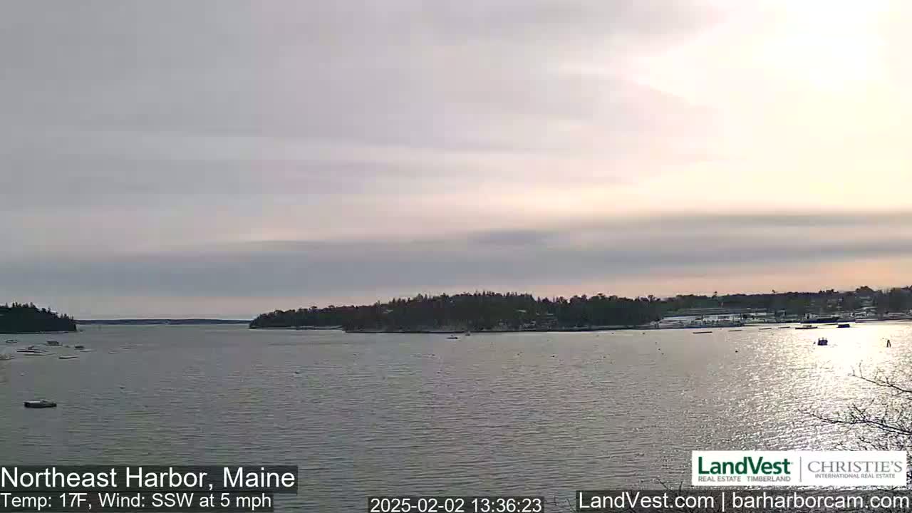 A calm body of water is nestled between snow-dusted, tree-covered shorelines under a mostly cloudy, pale sky.
