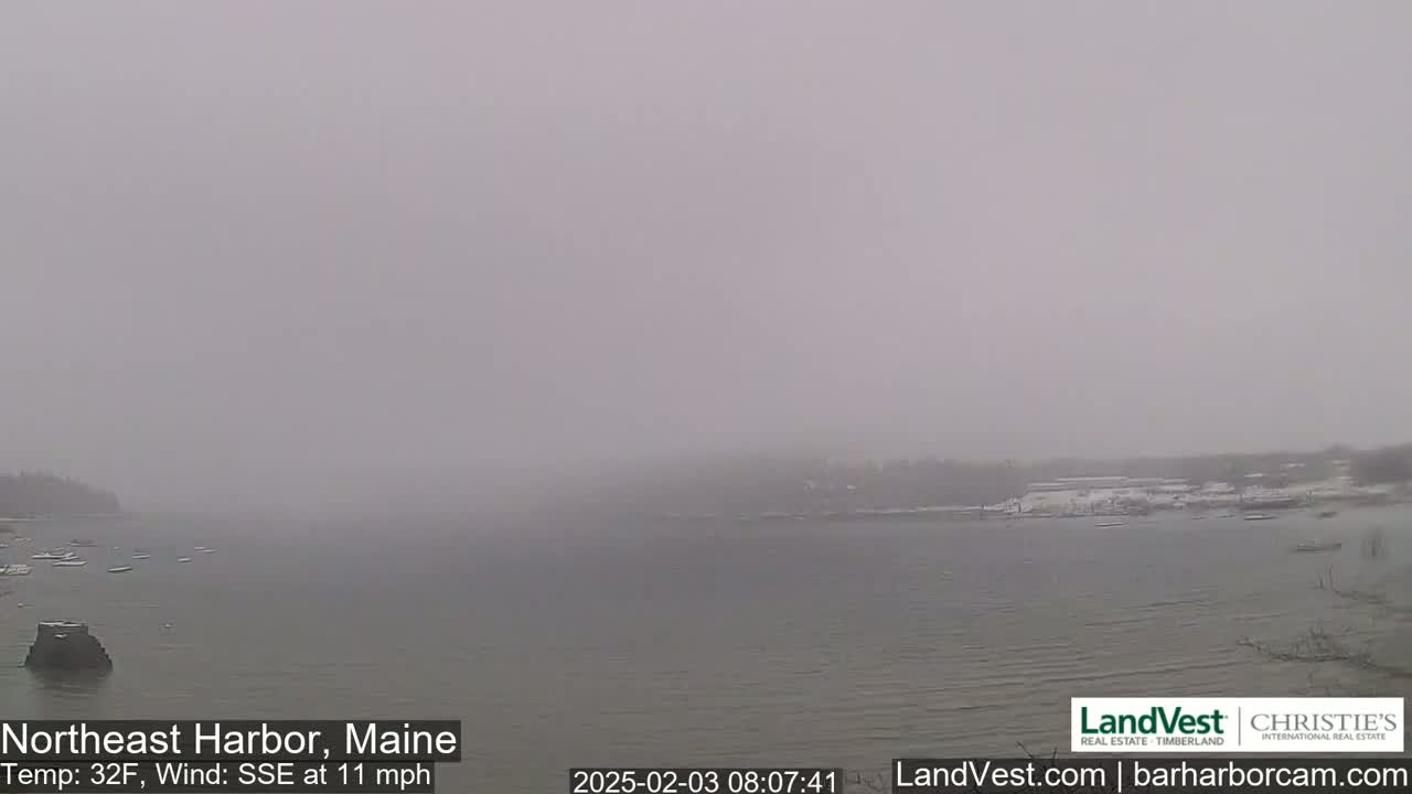 A foggy, gray scene shows a body of water with a shoreline featuring sparse, snow-covered vegetation under a 32°F temperature with a 11 mph SSE wind.