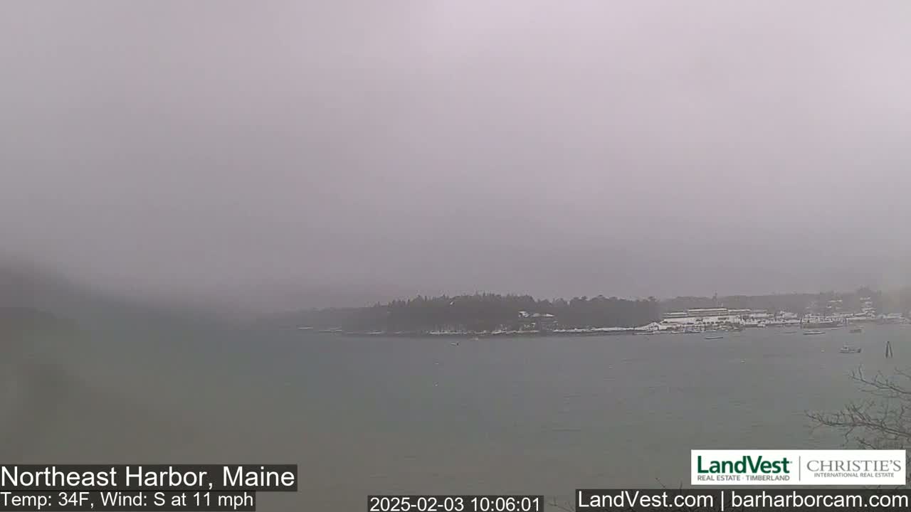 A hazy, snowy scene shows a calm body of water with a distant shoreline featuring trees and buildings under an overcast sky.
