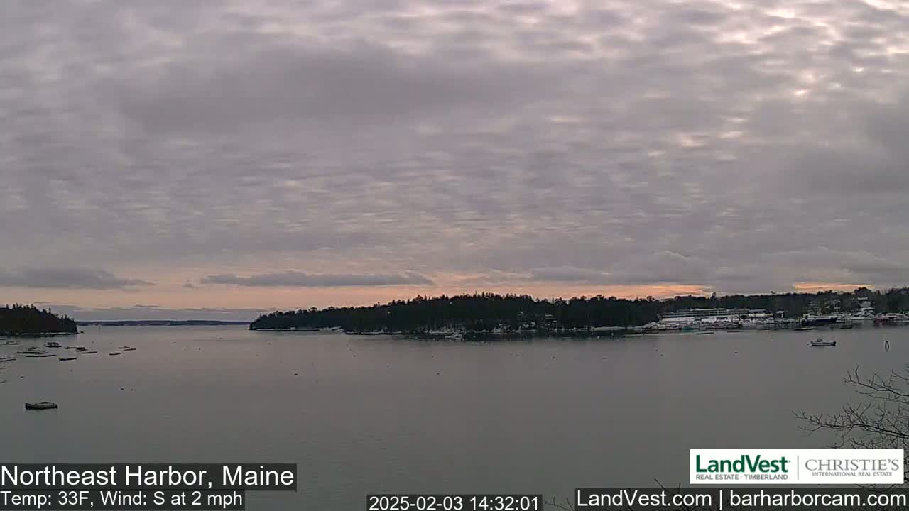 A calm harbor with boats is nestled between snow-dusted, dark green tree-covered hills under a mostly cloudy, pale sky.