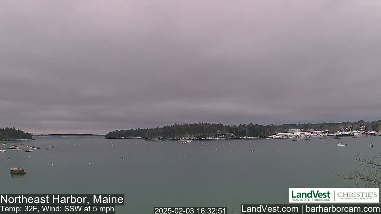 A calm harbor with a few boats, under an overcast sky, shows a snow-dusted shoreline in the distance.