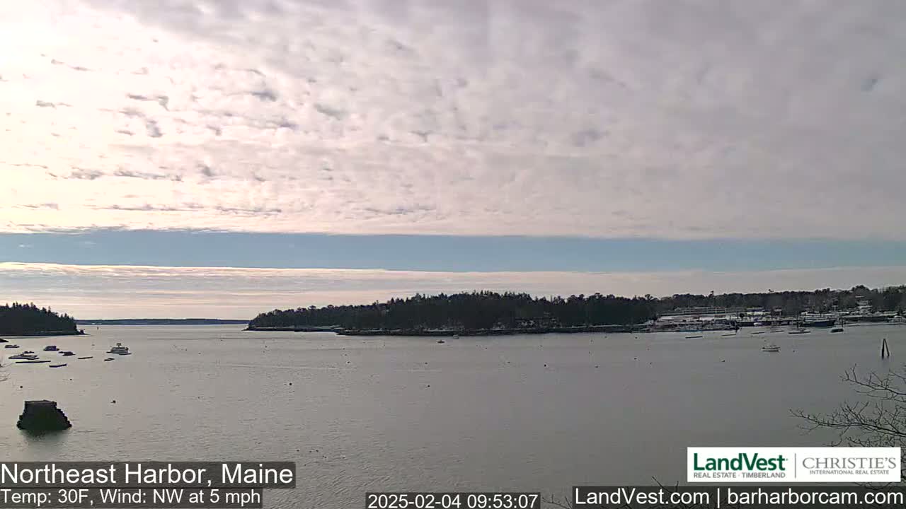 A calm harbor with a few boats, surrounded by snow-dusted trees under a partly cloudy sky.