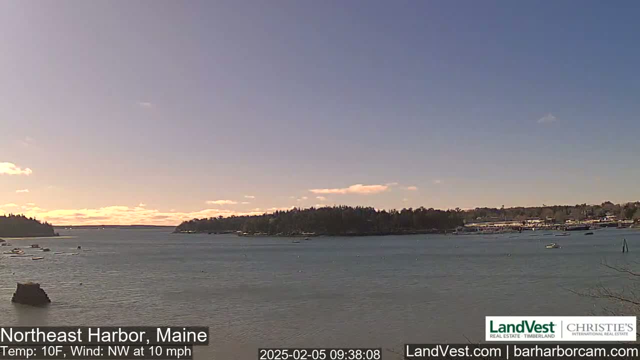 A calm harbor with a tree-lined shore is visible under a partly cloudy, pale sky, with a temperature of 10°F and a northwest wind at 10 mph.