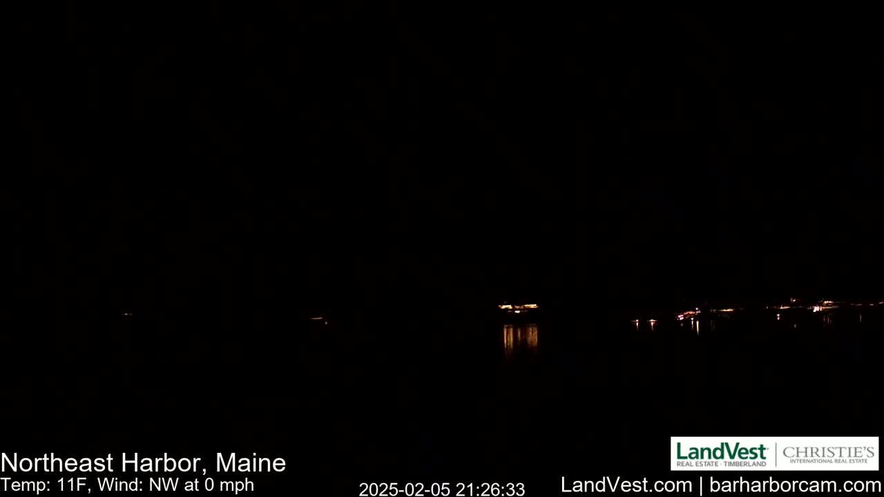 A nighttime, low-light view of a calm body of water with faintly visible lights on the far shore under a dark sky.