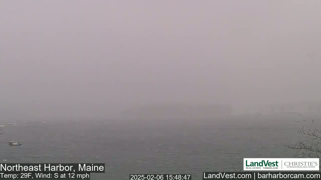 Northeast Harbor, Acadia National Park, Live Cam , Maine 