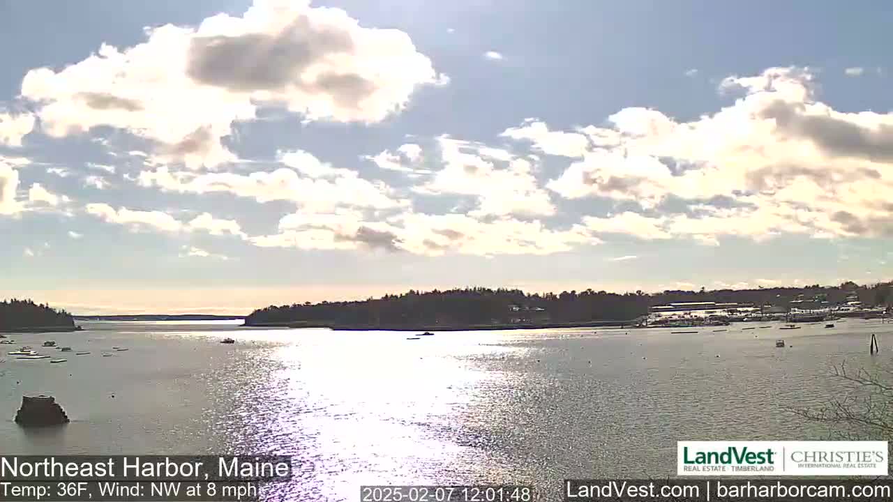 Northeast Harbor, Acadia National Park, Live Cam , Maine 