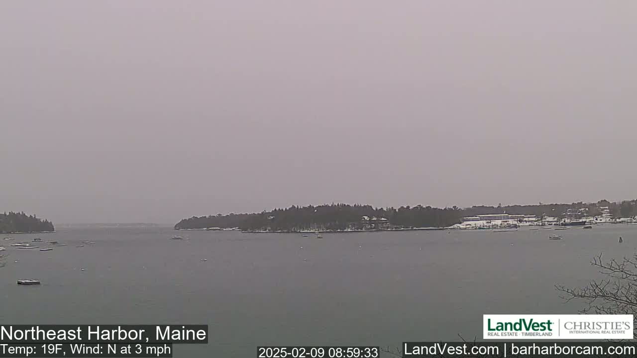 A calm harbor with a snow-covered shoreline is visible under an overcast sky.