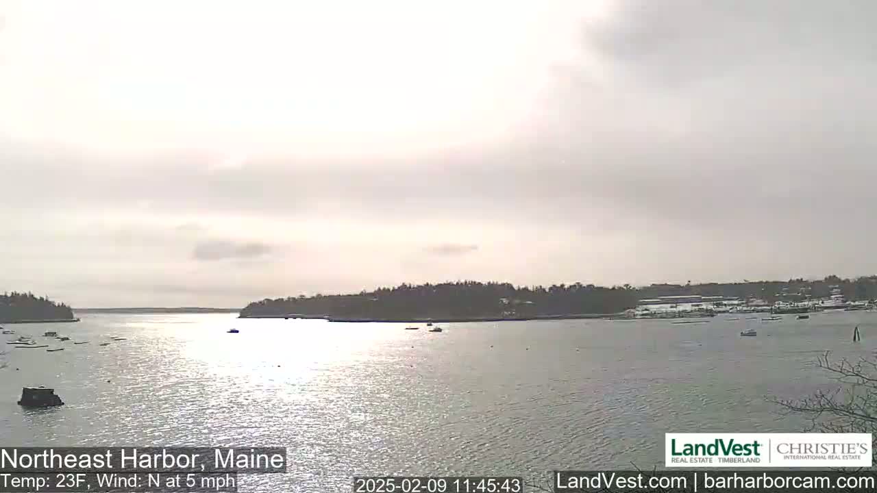 A calm, overcast day shows a harbor with several small boats, and land with dark trees in the background.