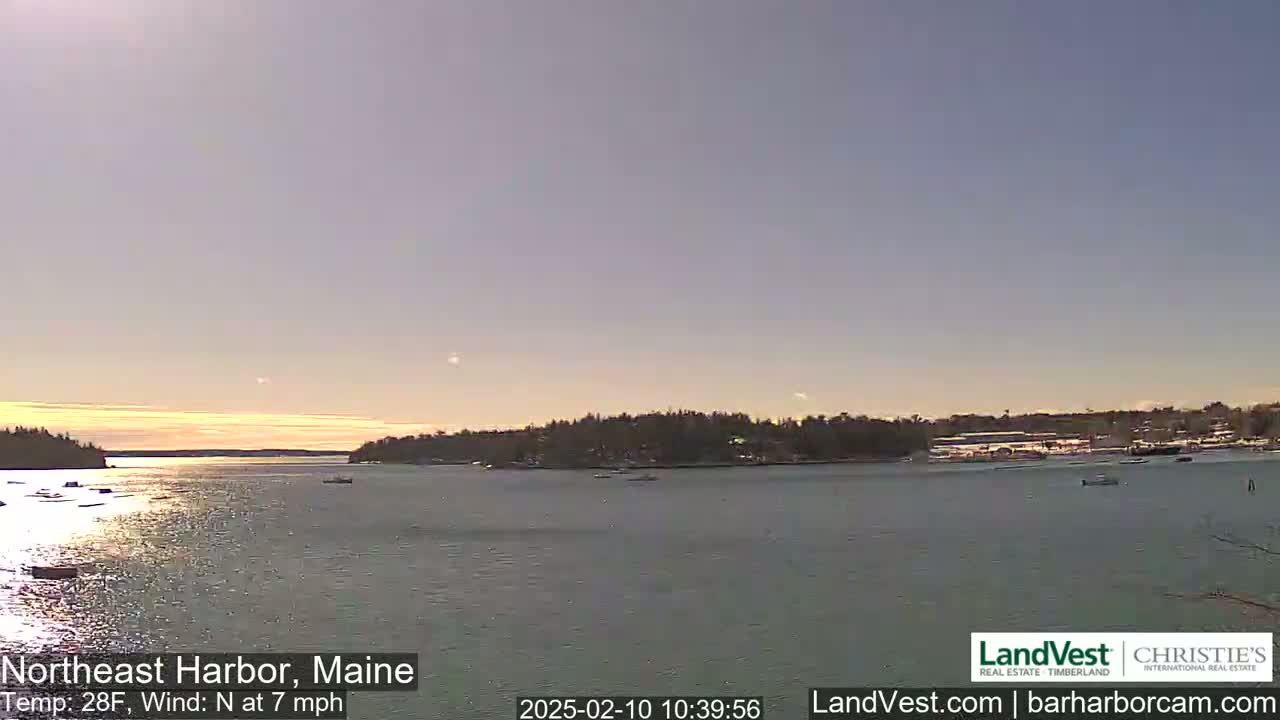 A calm body of water with a few boats is seen at sunrise under a clear, pale sky, with a tree-lined shoreline in the background.