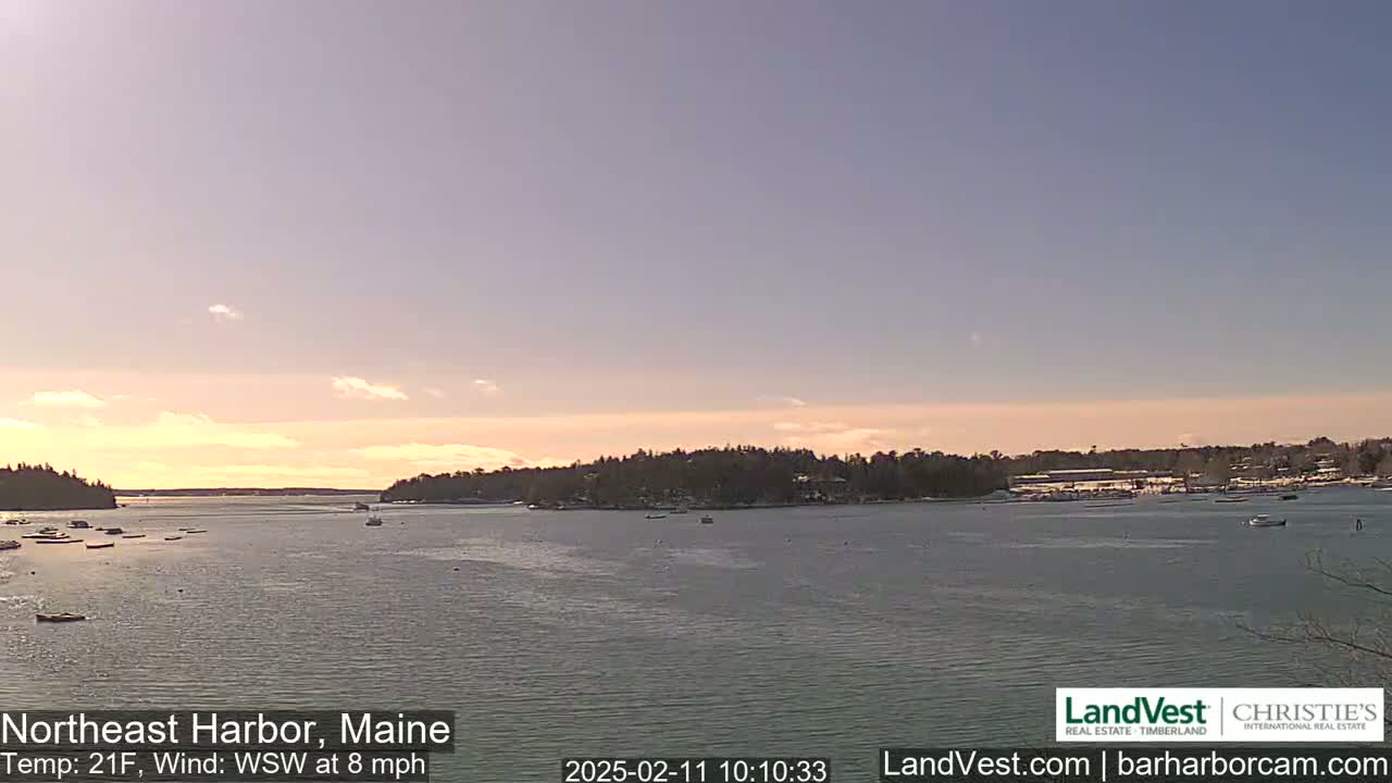 A calm harbor with a few boats, bordered by dark trees under a pale, mostly clear sky at sunset.