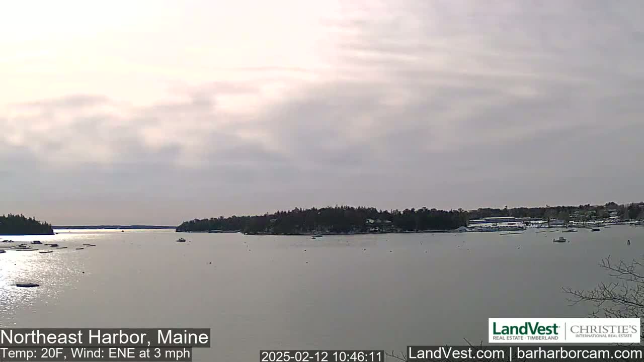 A calm harbor with scattered boats under a mostly cloudy sky, at 20°F with an east-northeast wind of 3 mph.
