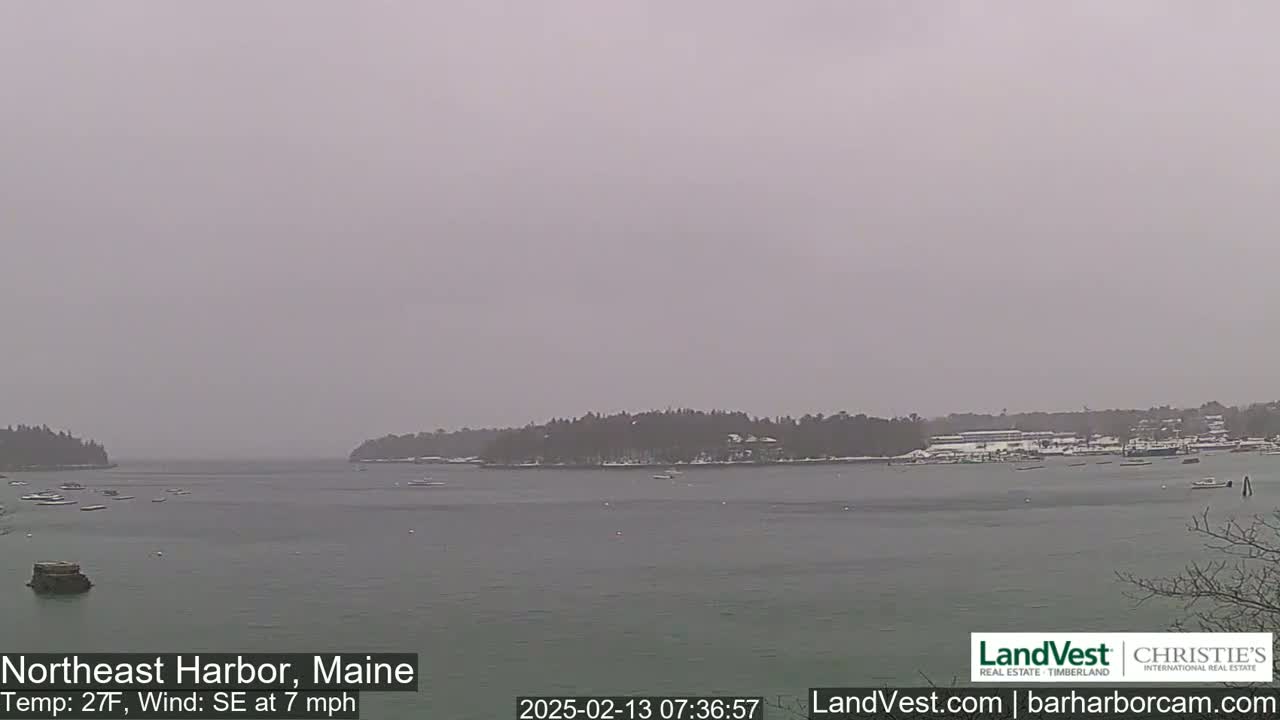 A snow-covered harbor scene is visible under an overcast sky.