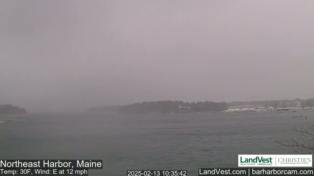 A hazy, snowy scene shows a body of water with a distant shoreline covered in trees and some buildings under a gray sky, with a 12 mph easterly wind and 30°F temperature.