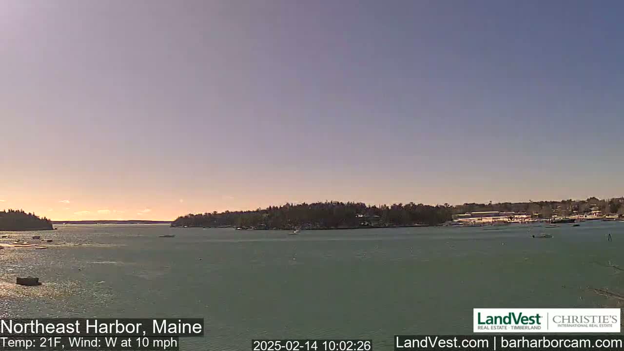 A calm body of water stretches to a tree-lined shore under a clear, light-purple sky, with a temperature of 21°F and a 10 mph west wind.