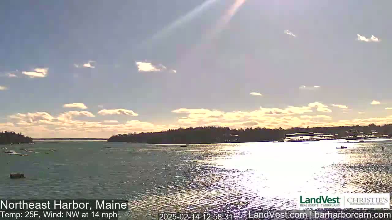 A calm body of water is visible under a partly cloudy sky, with a shoreline of trees and buildings in the distance.