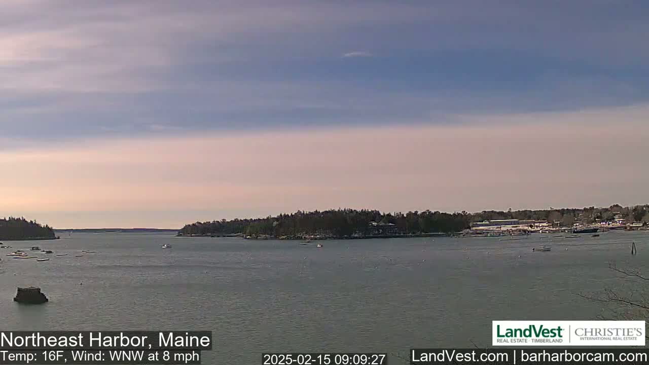 A calm harbor with a pastel sky and a gentle wind is seen from a distance, showing a small town on the shore with boats at rest.