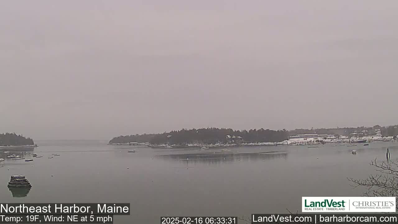 A snow-covered harbor town is seen on an overcast day with a northeast wind at 5 mph and a temperature of 19°F.