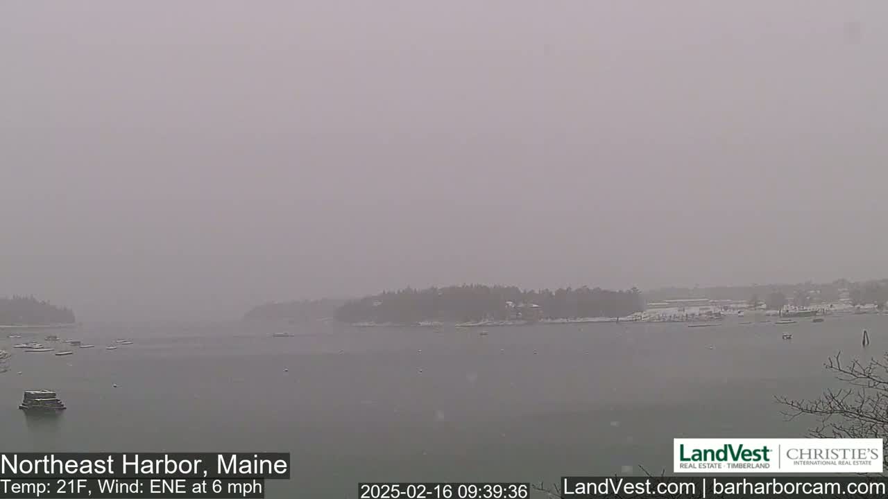 A snow-covered harbor with several boats is visible under a hazy, snowy sky.