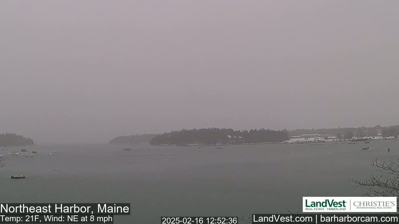 A snow-covered harbor scene is visible under an overcast sky, with a light northeast wind.