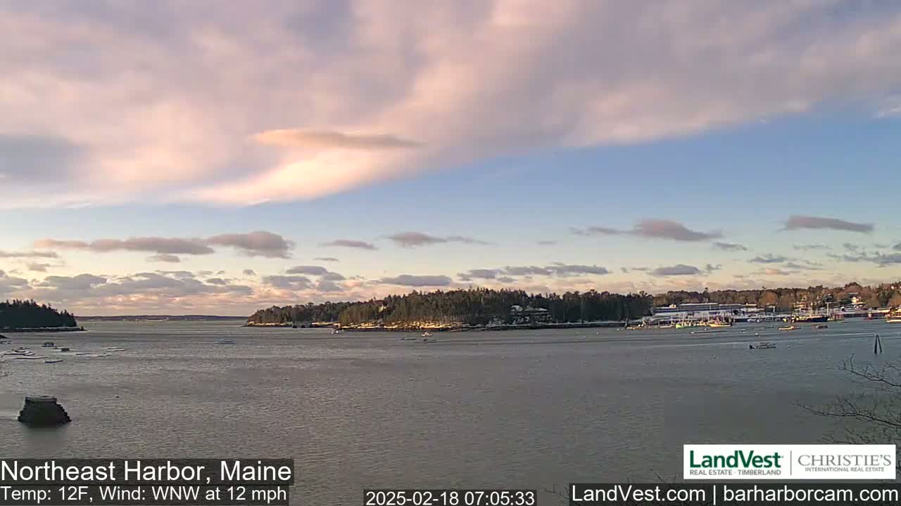 A calm harbor with a partly cloudy sky,  under a pale sunrise or sunset, shows a shoreline with trees and buildings partially covered in snow.