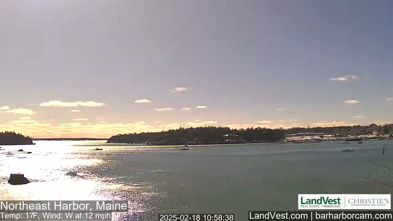 A calm body of water is seen under a partly cloudy sky, with a shoreline featuring trees and a few boats visible in the distance.