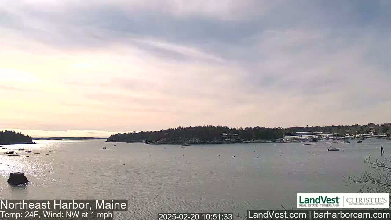 A calm harbor with a small town on the opposite shore under a partly cloudy, pale sky.
