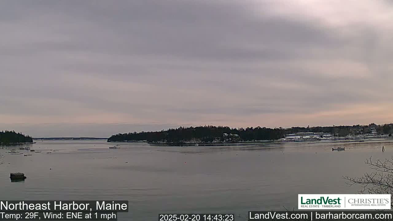 A calm harbor with a partly cloudy sky, a light wind, and snow on the distant shoreline.