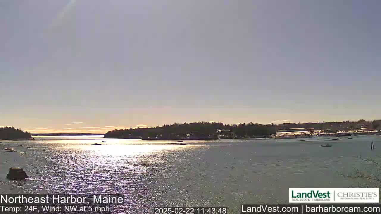 A calm harbor scene shows a tranquil body of water reflecting sunlight under a clear, light-blue sky, with a few boats and a tree-lined shoreline in the distance.