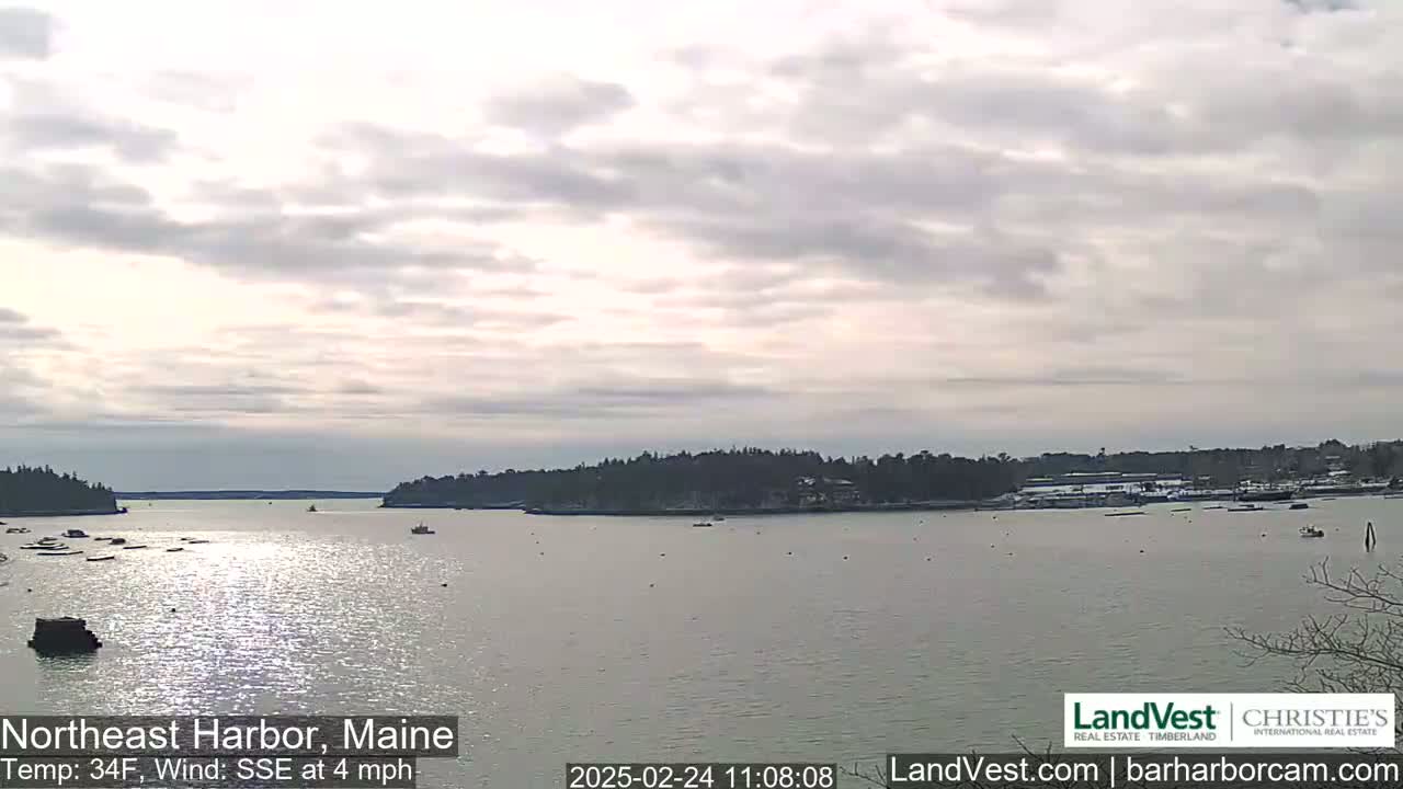 A calm harbor with a few boats, under a mostly cloudy sky, shows a shoreline with trees and buildings in the background.