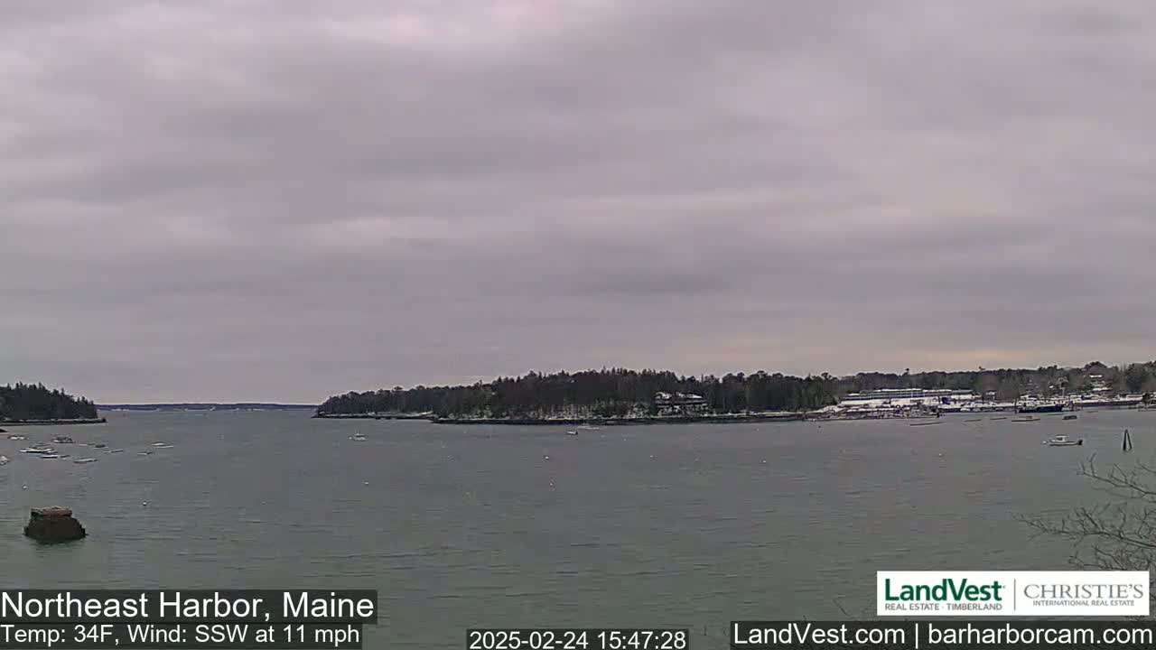 A calm body of water under an overcast sky shows a harbor with boats and snow-dusted trees lining the shore.