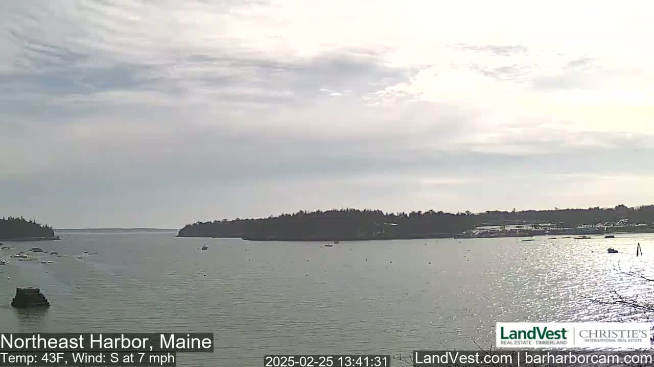 A calm harbor with scattered boats under a lightly cloudy sky, a gentle south wind blowing at seven miles per hour and a temperature of 43 degrees Fahrenheit.