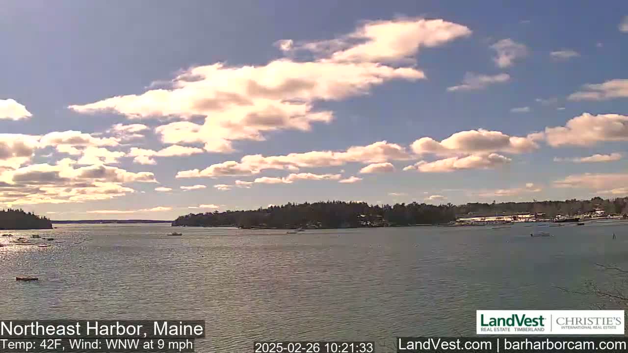 A calm body of water is seen under a partly cloudy sky, with trees lining the shore in the distance.