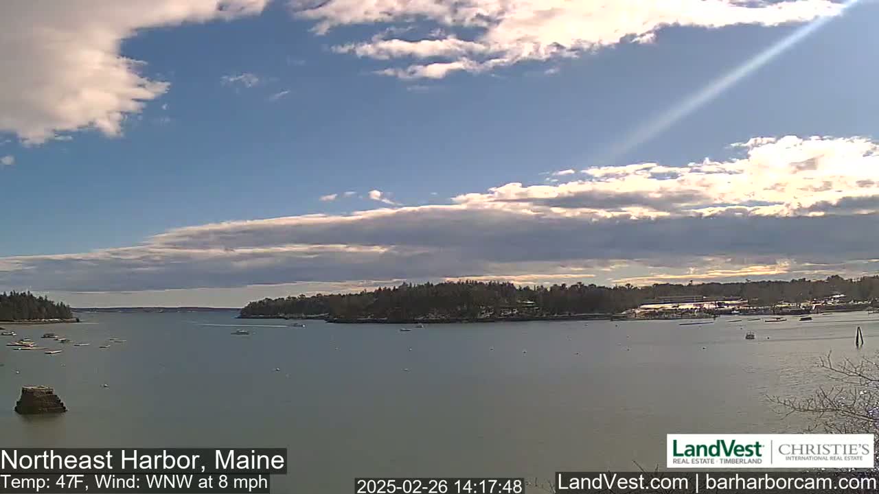 A partly cloudy day with a calm sea shows a view of a harbor with several boats and trees on the shoreline.