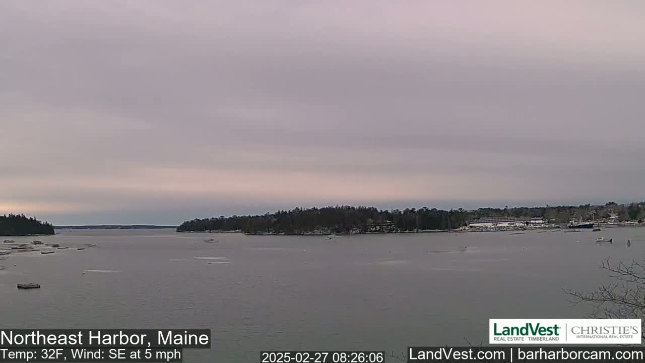 A calm body of water with a distant shoreline of trees under an overcast sky.