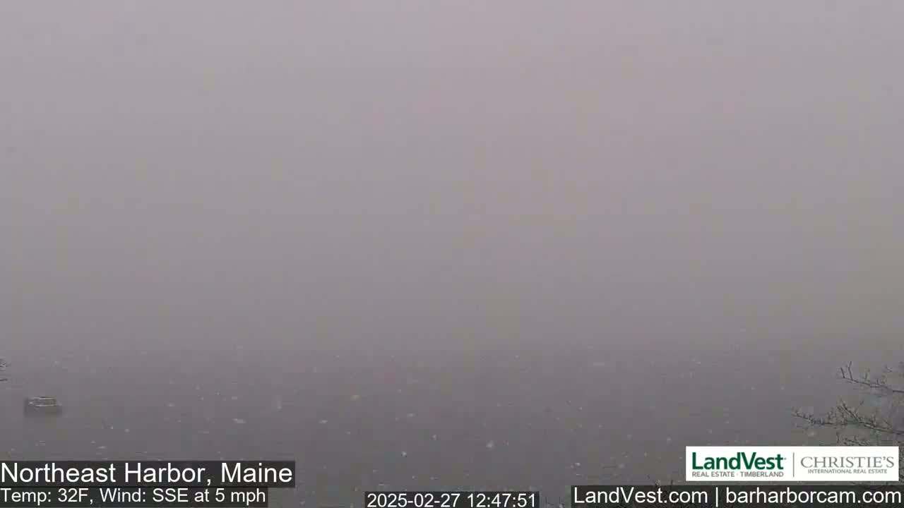 A foggy, snowy scene shows a body of water under a gray sky, with a 32°F temperature and a 5 mph wind from the southeast.