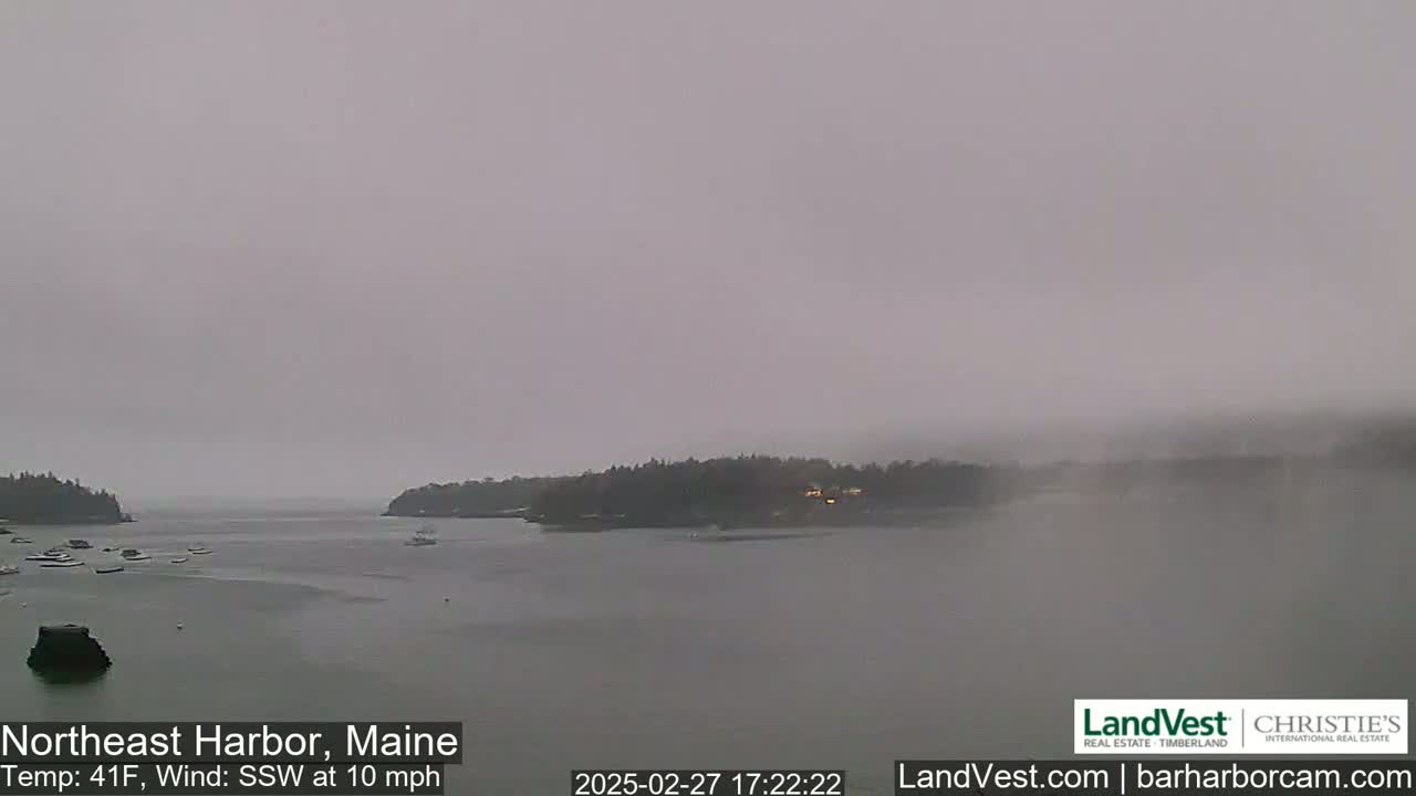 A foggy harbor scene shows a calm body of water with several small boats, surrounded by low-lying land covered in dark trees under a gray sky.