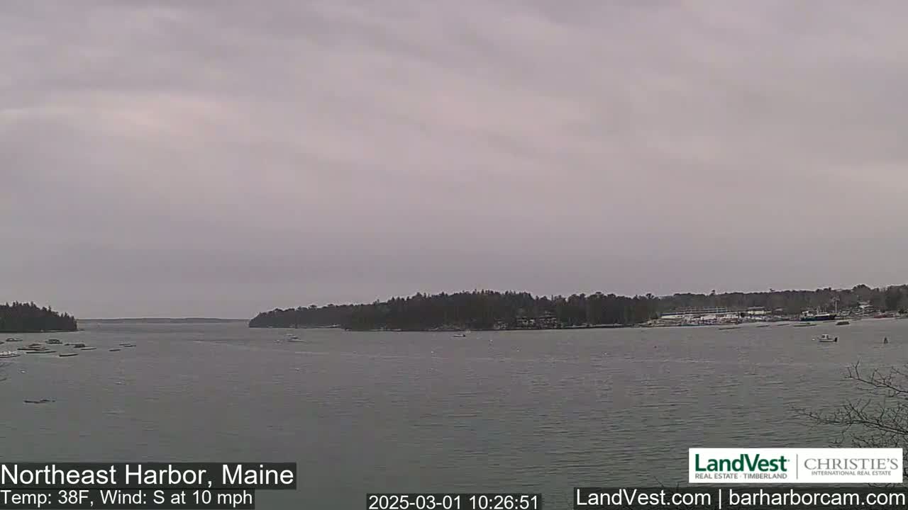 A calm harbor is shown on an overcast day with a south wind at 10 mph and a temperature of 38°F.