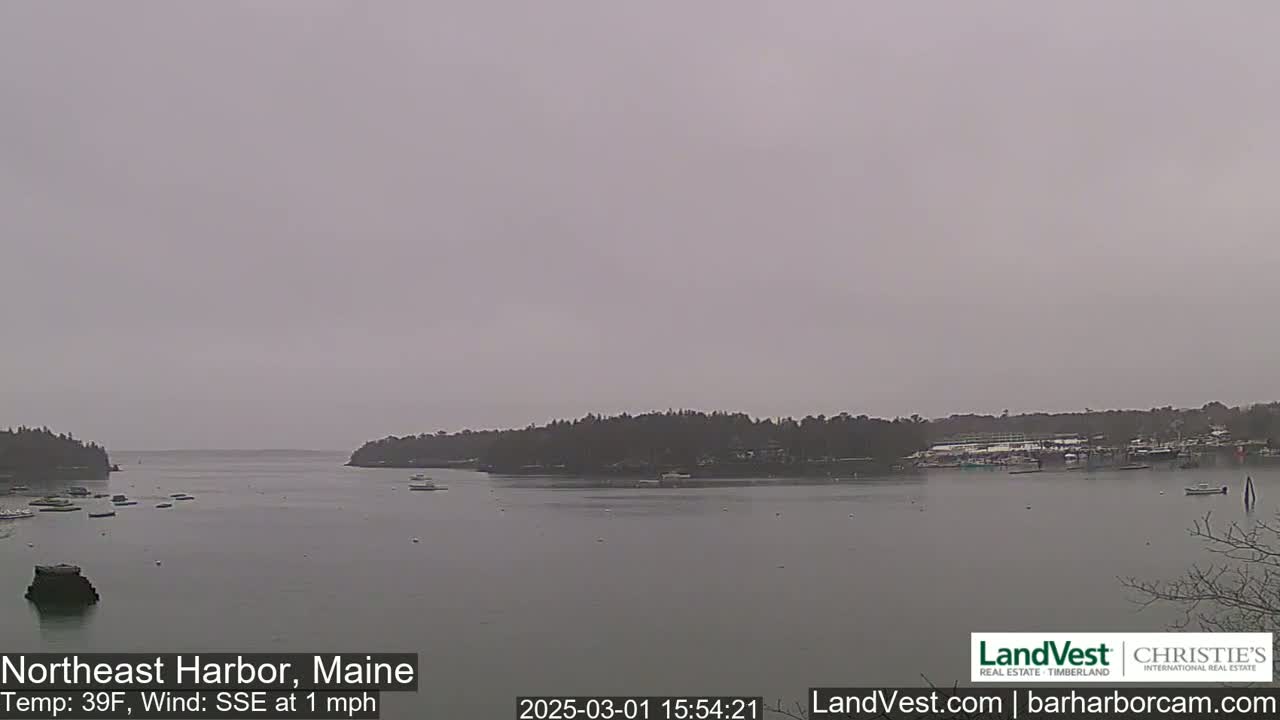 A calm harbor with several boats is seen under an overcast sky.