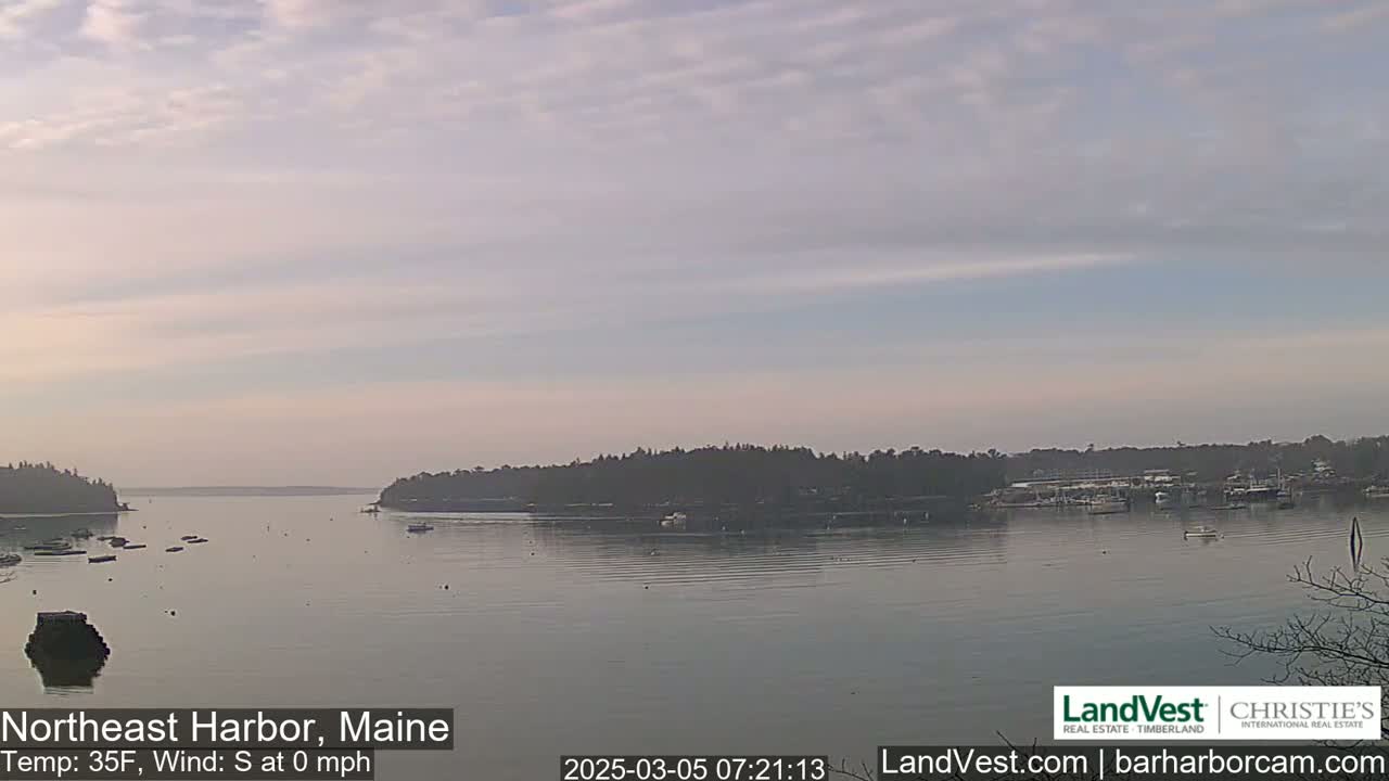 A calm harbor with several boats is seen under a mostly cloudy, light sky.