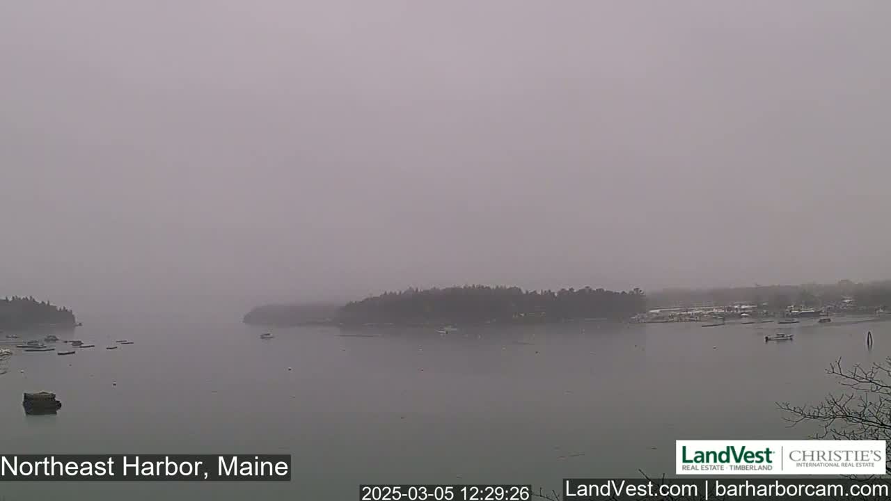 A foggy harbor scene shows calm water with several small boats and tree-lined shorelines in the distance.