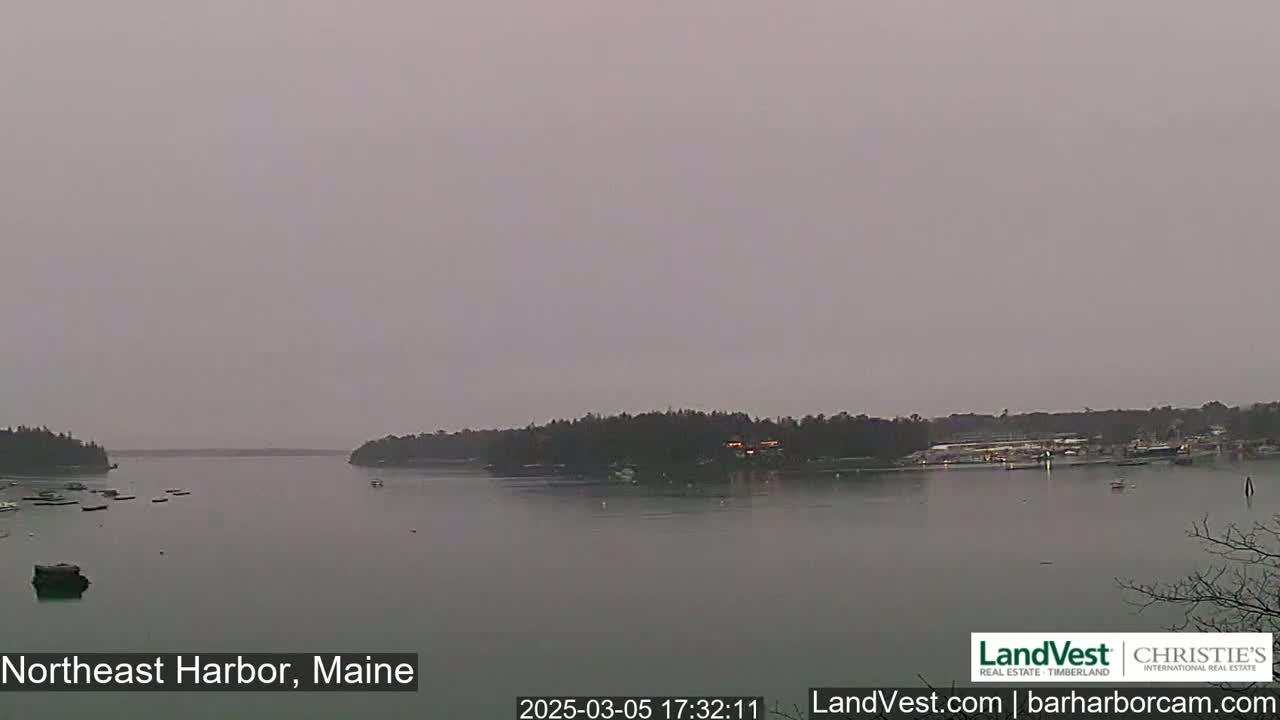 A calm harbor is seen on an overcast day, with small boats scattered across the water and land visible in the distance.
