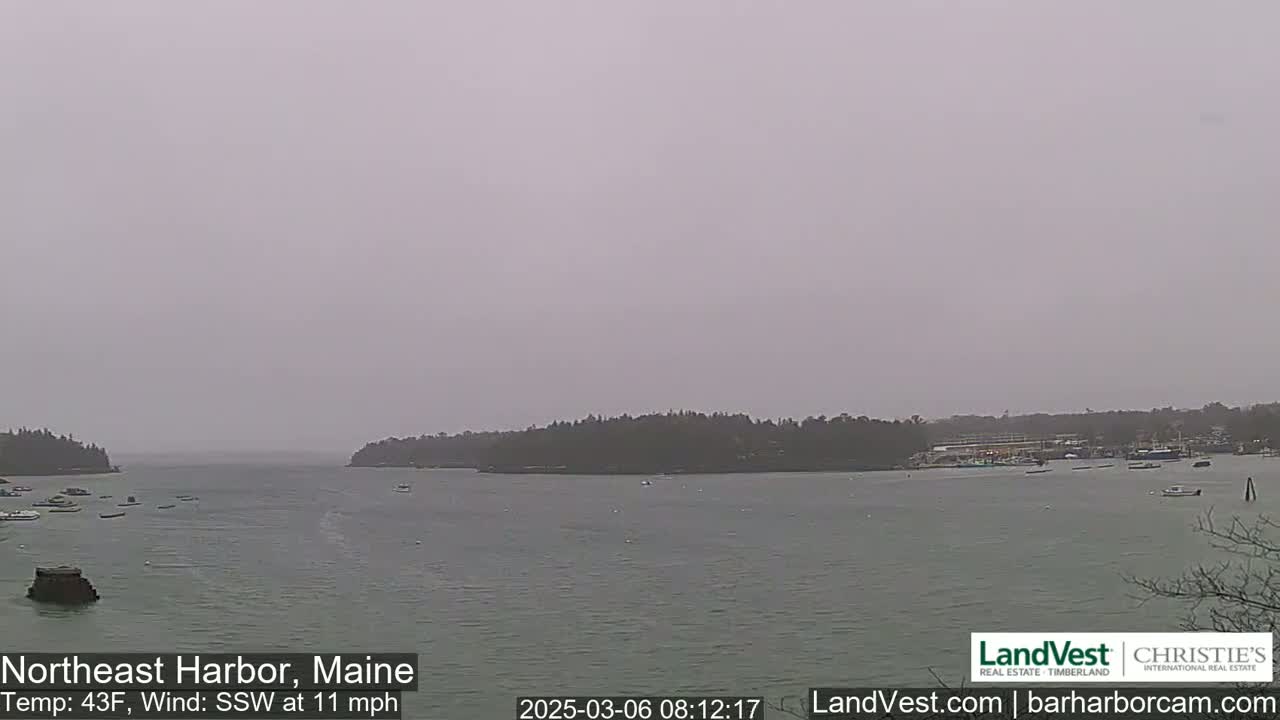 A calm harbor scene on an overcast day shows a body of water with several small boats and land in the background.