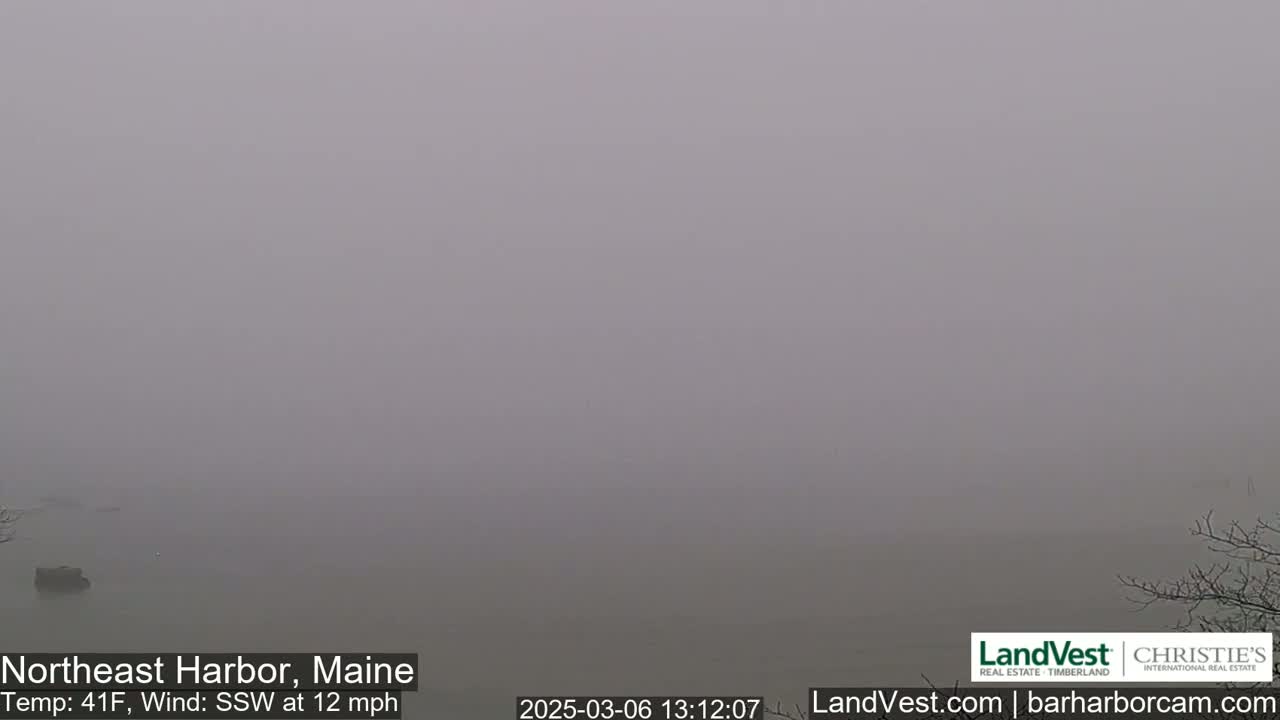 A foggy, gray waterfront scene is visible, with a temperature of 41°F and a south-southwest wind at 12 mph.