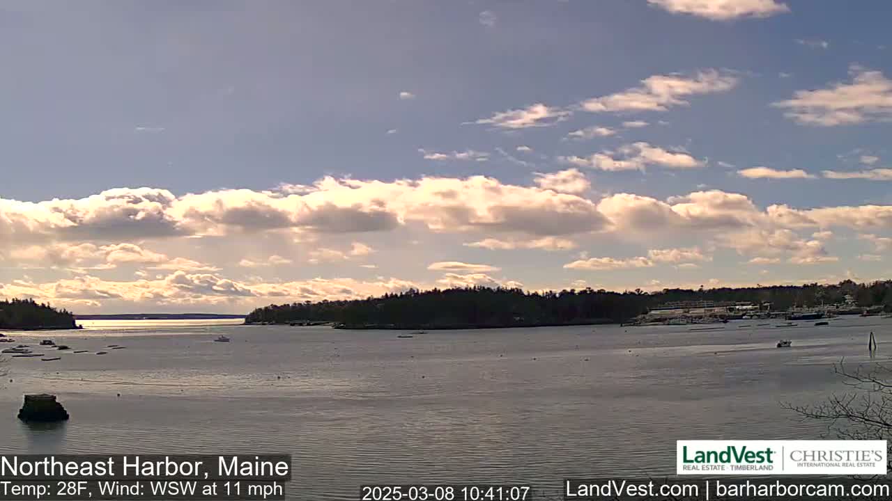 A partly cloudy day with a 28°F temperature and a 11 mph wind from the west-southwest shows a calm harbor with dark green trees lining the shore.