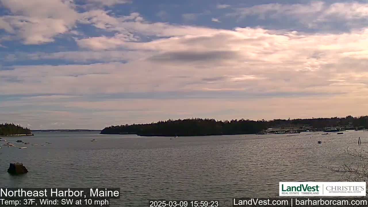 A calm body of water, under a partly cloudy sky, is surrounded by dark green trees and a few boats.
