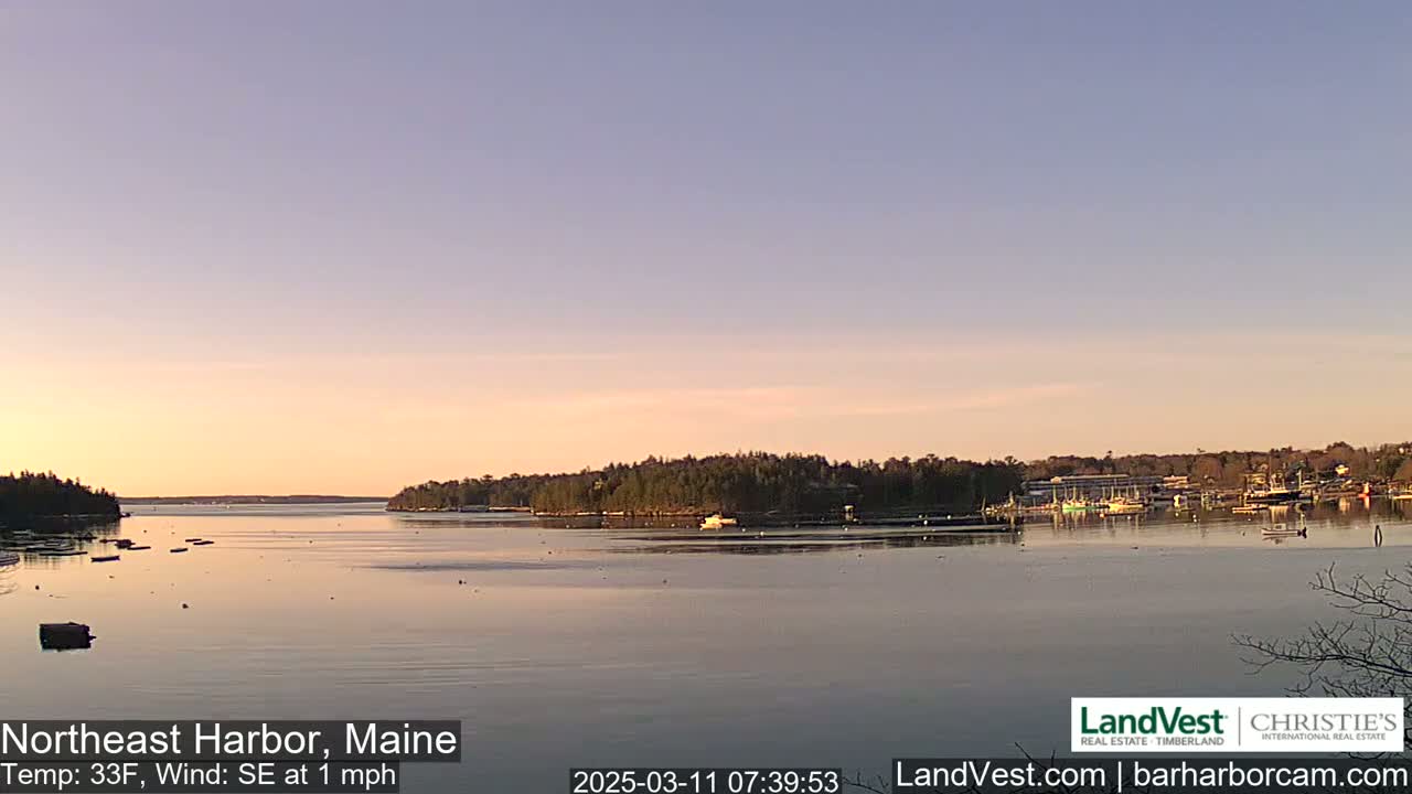 A calm body of water, reflecting a pastel sunrise, is surrounded by low-lying, dark green trees under a clear, pale sky.