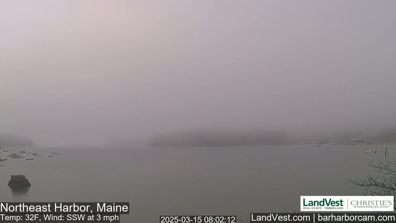 A foggy harbor scene shows a calm body of water with a few dark shapes visible in the distance and a few rocks in the immediate foreground.